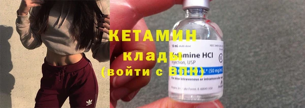 хмурый Пересвет