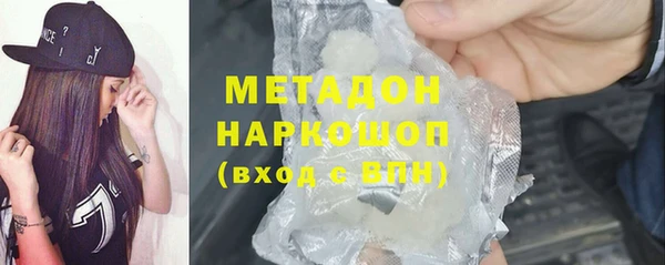 хмурый Пересвет