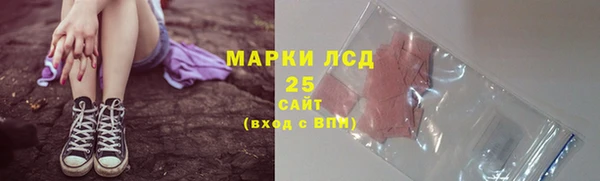 мяу мяу мука Абаза