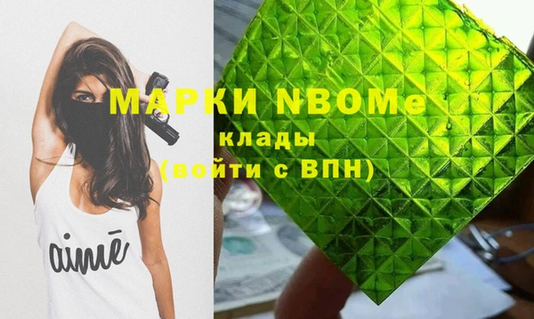 хмурый Пересвет