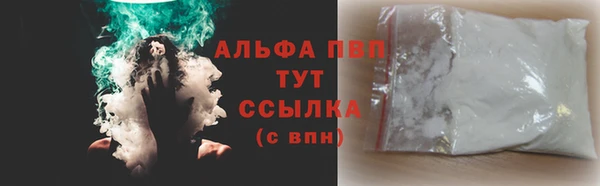 хмурый Пересвет