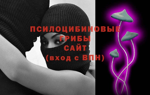 винт Переславль-Залесский