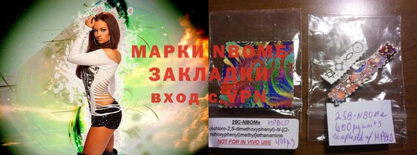 хмурый Пересвет