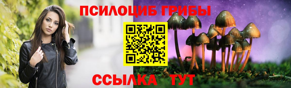 Псилоцибиновые грибы Psilocybe  Вход с VPN  Лангепас 